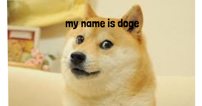 my name is doge