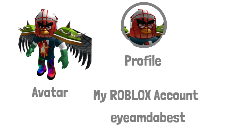 My Roblox Account - 